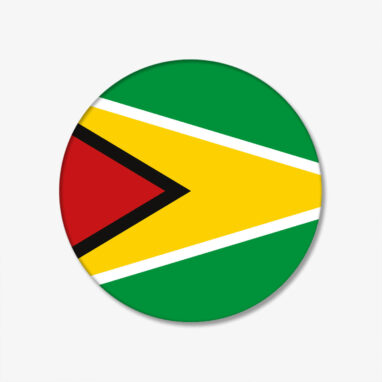FLAGGEN-BUTTON-GUYANA