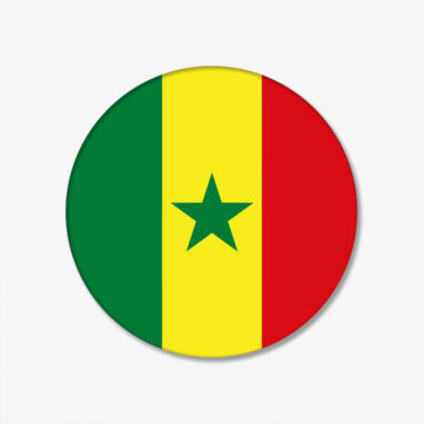 FLAGGEN-BUTTON-SENEGAL